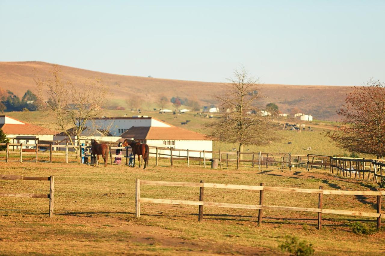 Hotel First Group Midlands Saddle And Trout à Mooirivier Extérieur photo